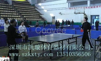 东莞与深圳乒乓球台生产批发全指南 如何选对真正的源头厂家